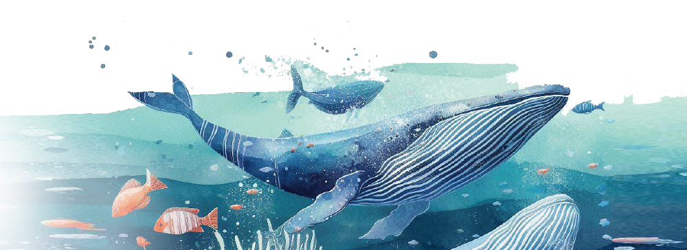 kujira image