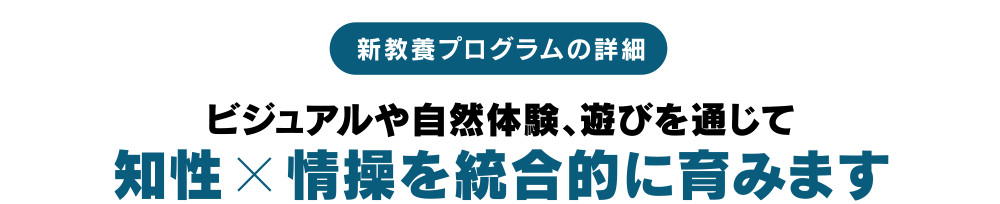 新教養プログラムの詳細 | ビジュアルや自然体験、遊びを通じて知性 × 情操を統合的に育みます